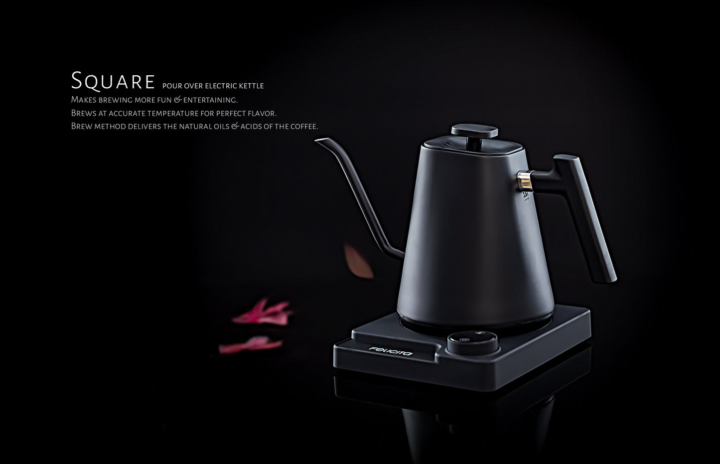 Felicita Square Gooseneck Pour Over Kettle