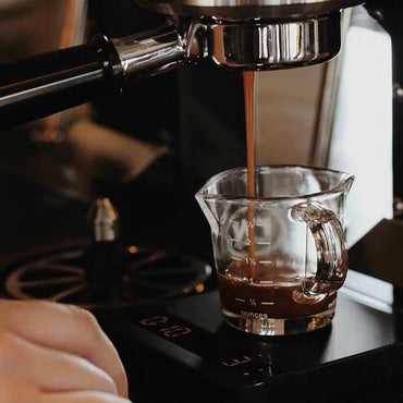 Coffee Shot Glass Double-Spouted