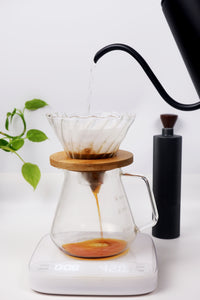 BC Pour Over Coffee Glass Server - GX5