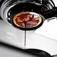 BC Precision DLX H2 Filter Basket Titanium Gold